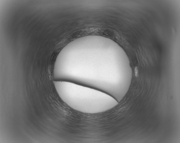 X0000064041203200601270923