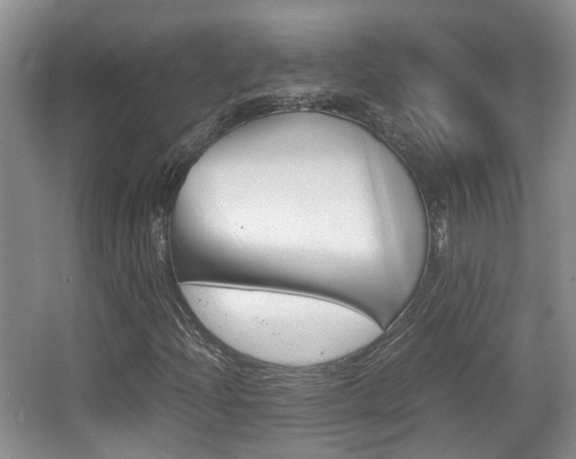 X0000064041204200601270923