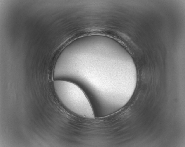 X0000064041209200601270923