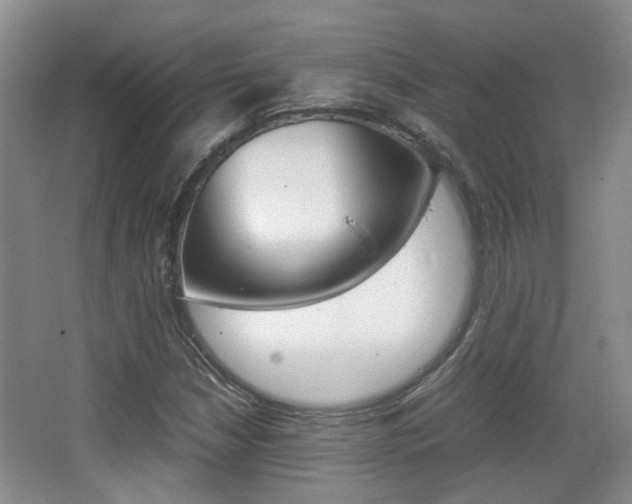 X0000064041210200601270923