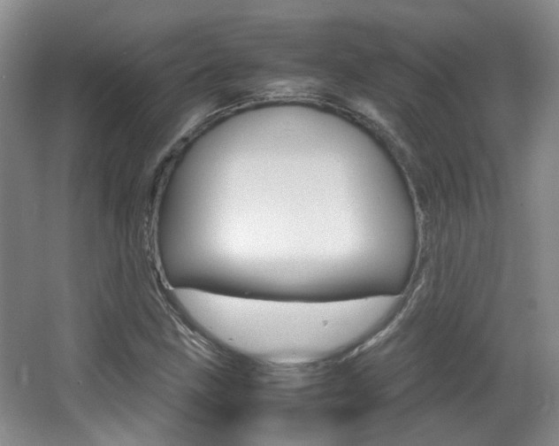 X0000064041211200601270923