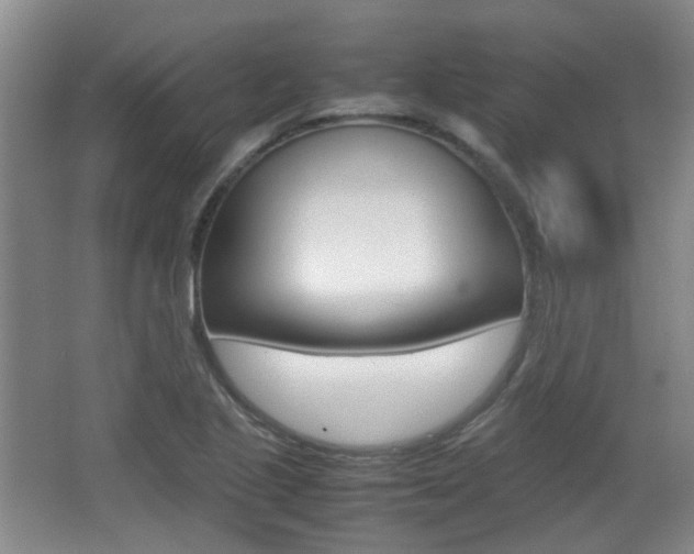 X0000064041221200601270923