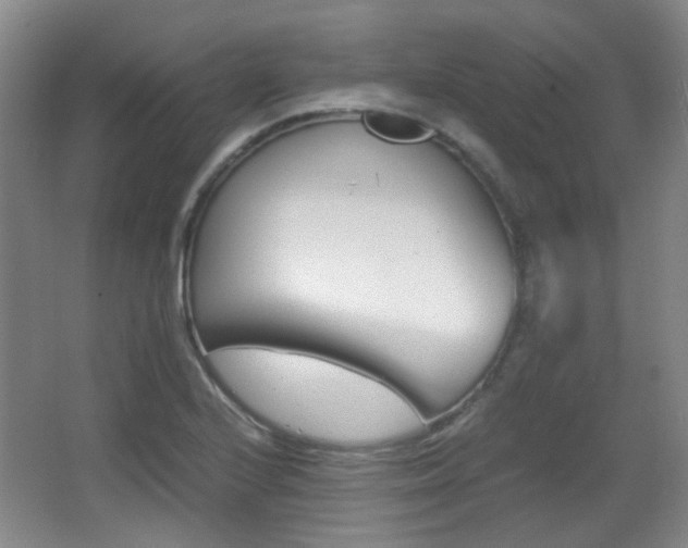 X0000064041224200601270923