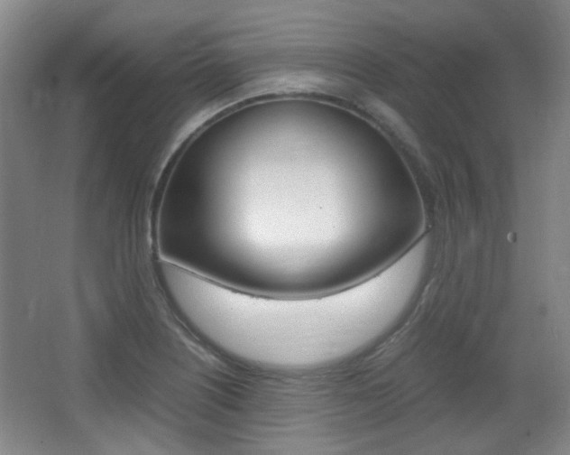 X0000064041226200601270923