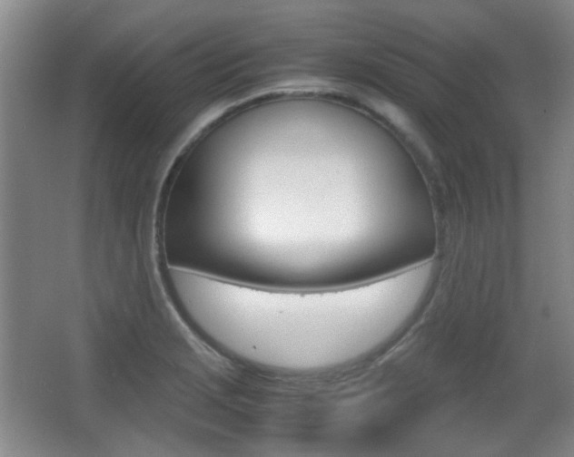 X0000064041229200601270923