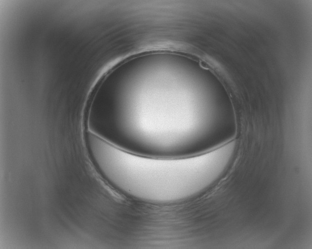 X0000064041230200601270923