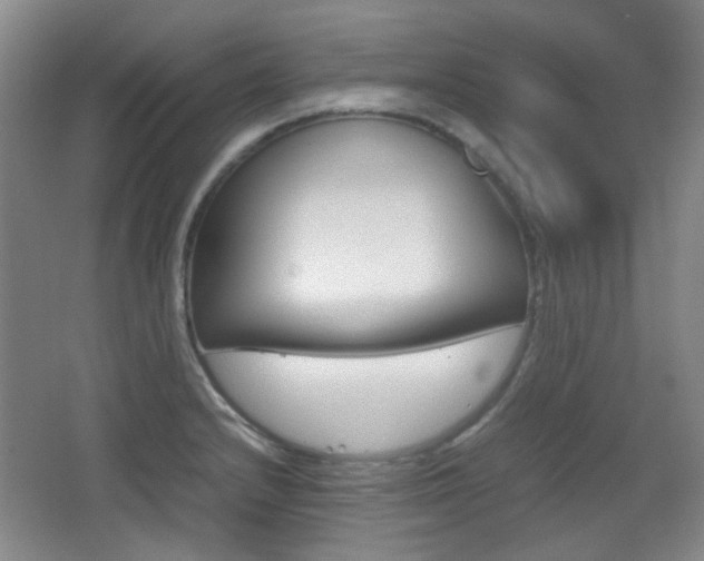 X0000064041232200601270924