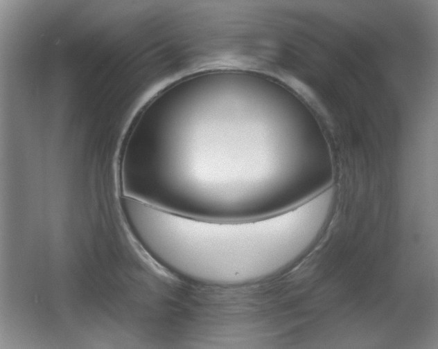 X0000064041238200601270924
