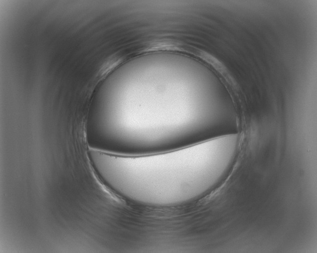 X0000064041241200601270924