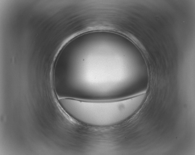 X0000064041246200601270924