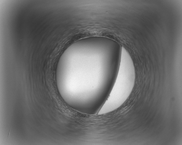 X0000064041249200601270923