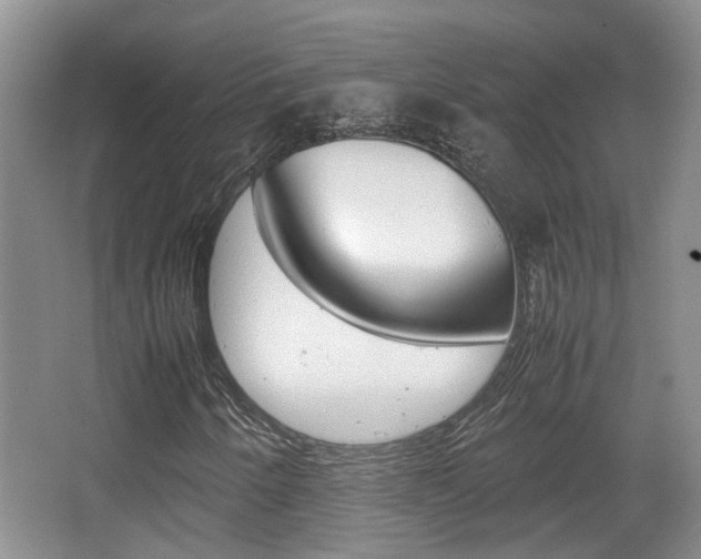 X0000064041250200601270923