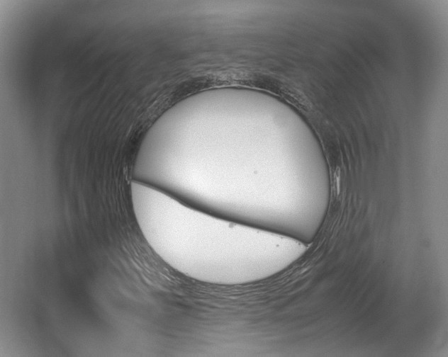 X0000064041251200601270923