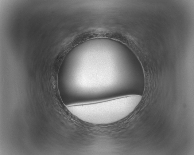 X0000064041253200601270923