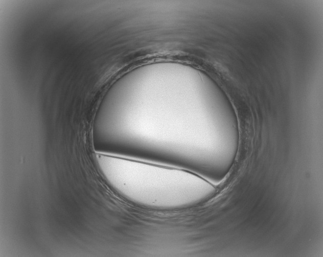 X0000064041257200601270923