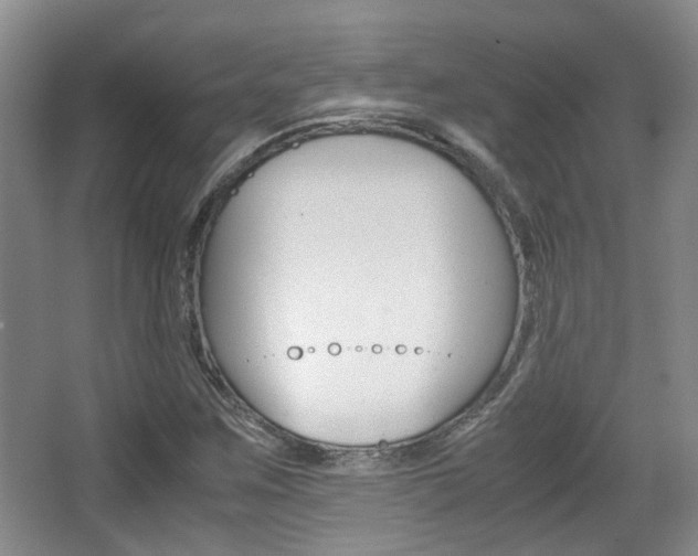 X0000064041259200601270923