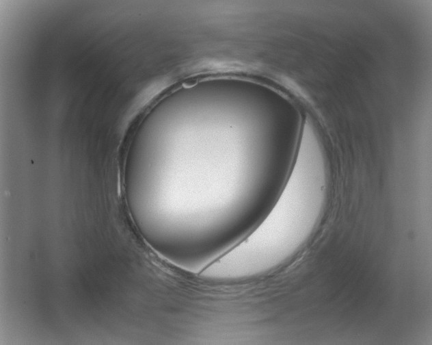 X0000064041269200601270923