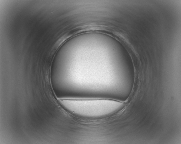 X0000064041273200601270923