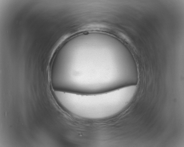 X0000064041275200601270923
