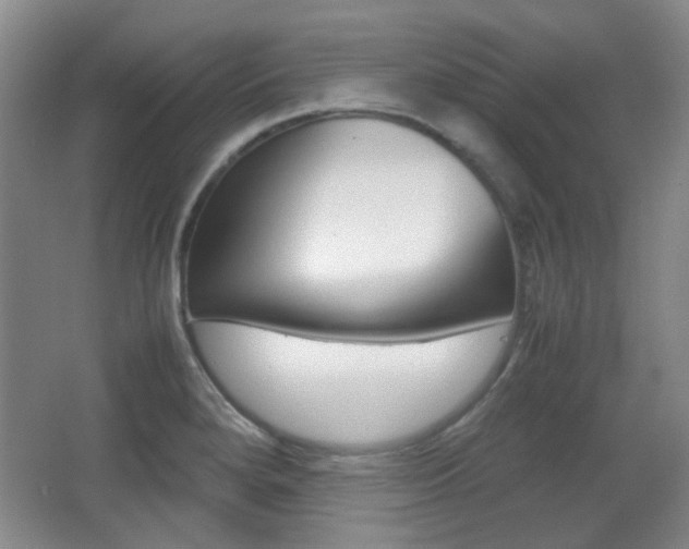 X0000064041280200601270922