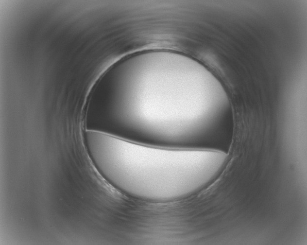 X0000064041284200601270922