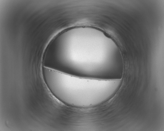 X0000064041288200601270922