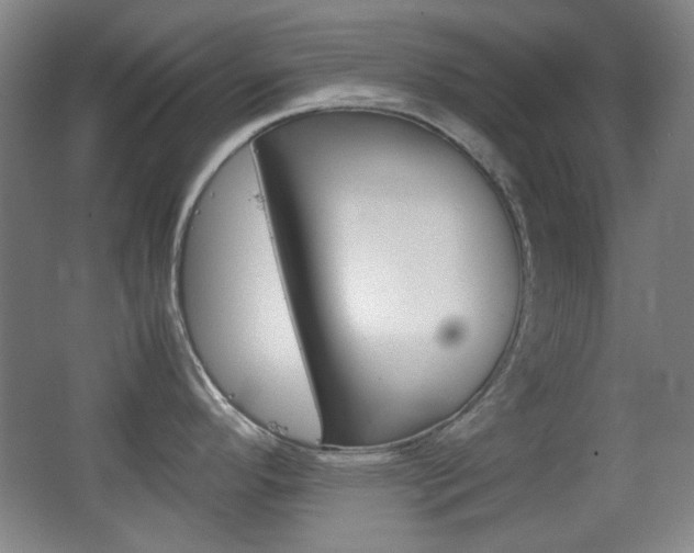 X0000064041296200601270922