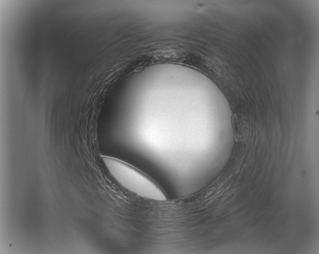 X0000064041297200601270921