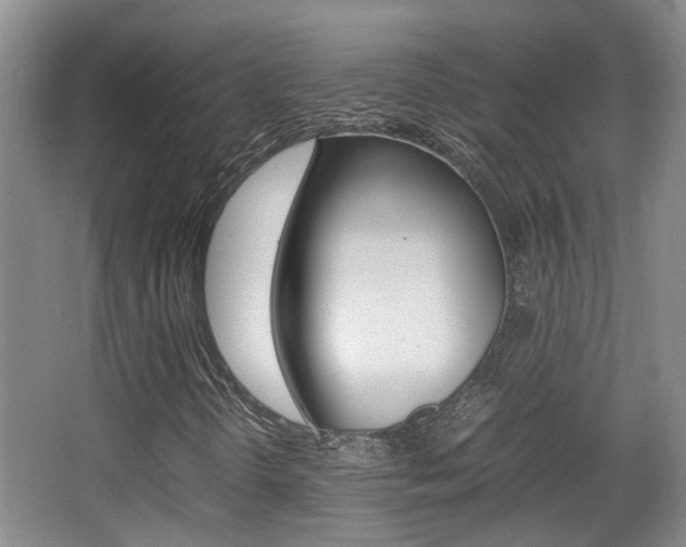 X0000064041298200601270921
