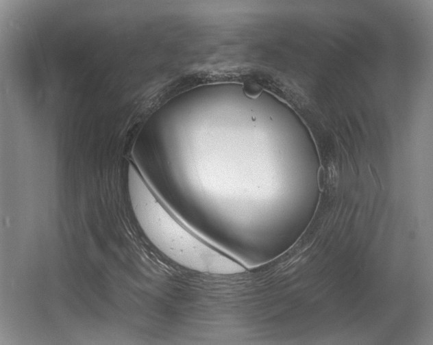 X0000064041300200601270921