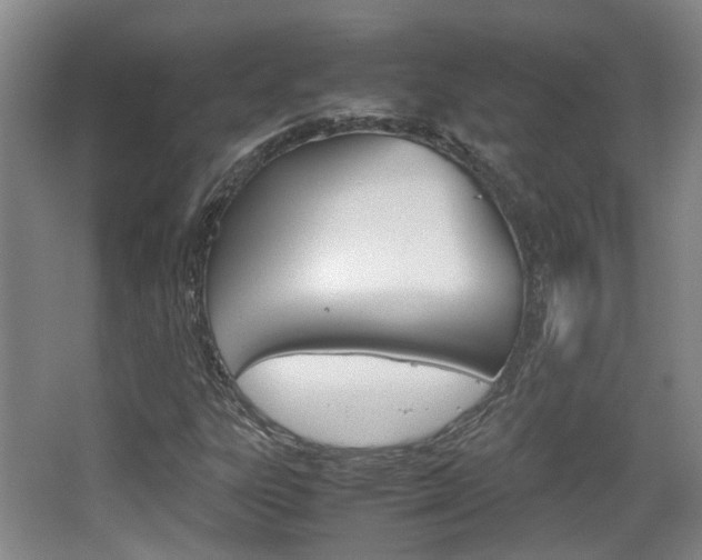 X0000064041303200601270921