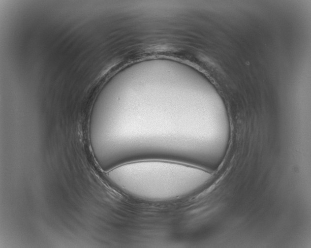 X0000064041305200601270921