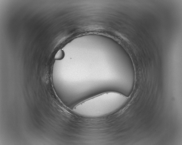X0000064041306200601270921