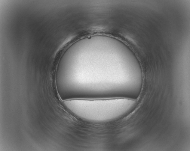 X0000064041309200601270922