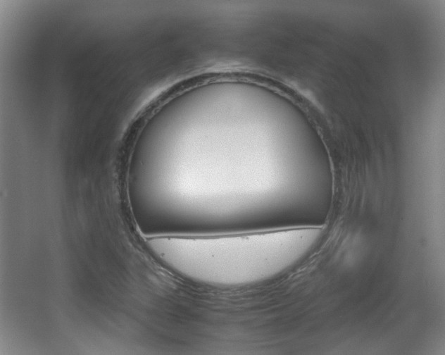 X0000064041311200601270922