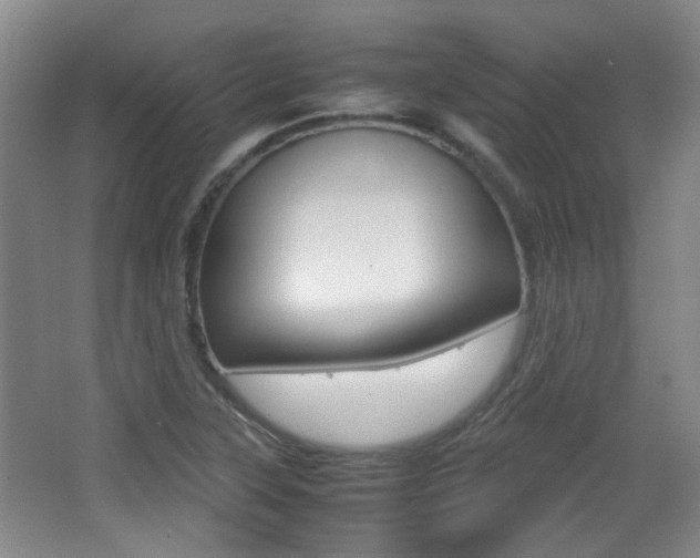 X0000064041315200601270922