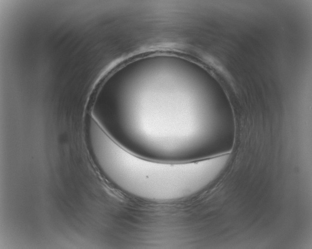 X0000064041316200601270922