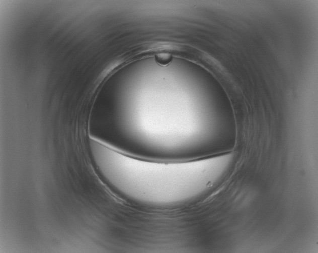 X0000064041321200601270922