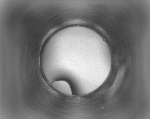 X0000064041322200601270922
