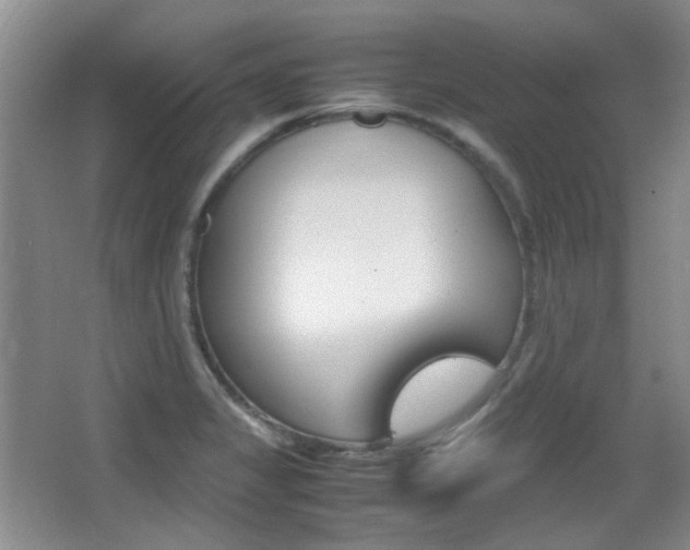 X0000064041325200601270922