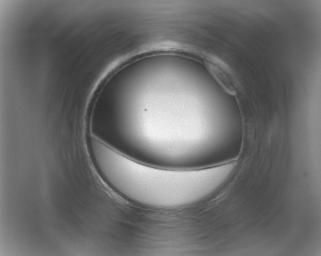 X0000064041326200601270922