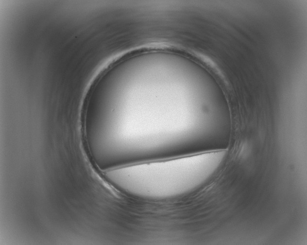X0000064041327200601270922