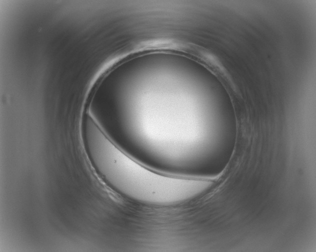 X0000064041328200601270922