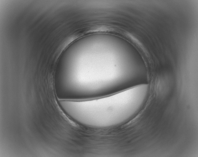 X0000064041329200601270922