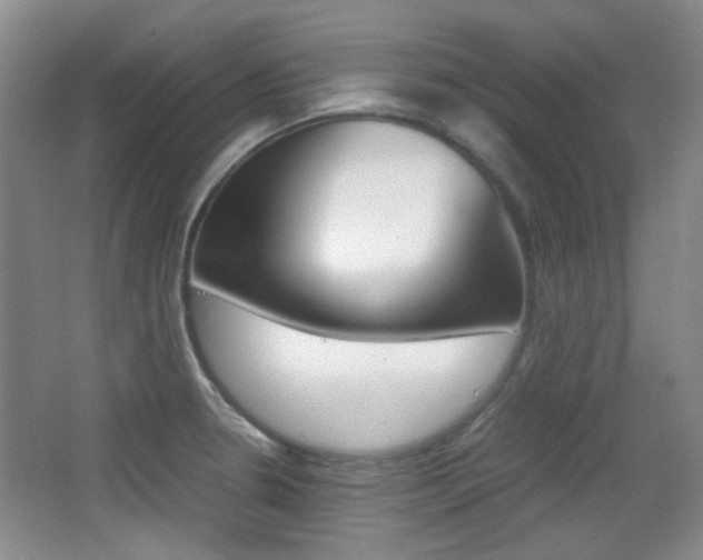 X0000064041330200601270922