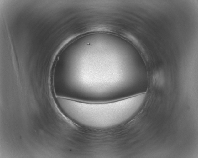 X0000064041331200601270922