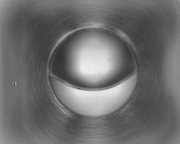 X0000064041332200601270922