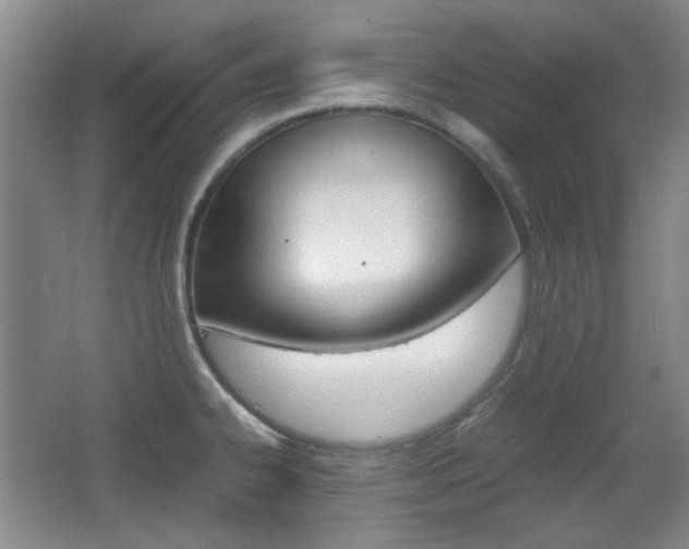 X0000064041334200601270922