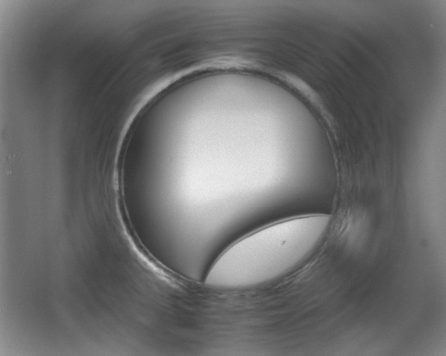 X0000064041335200601270922