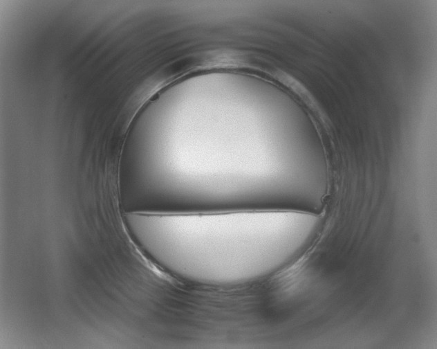 X0000064041337200601270922